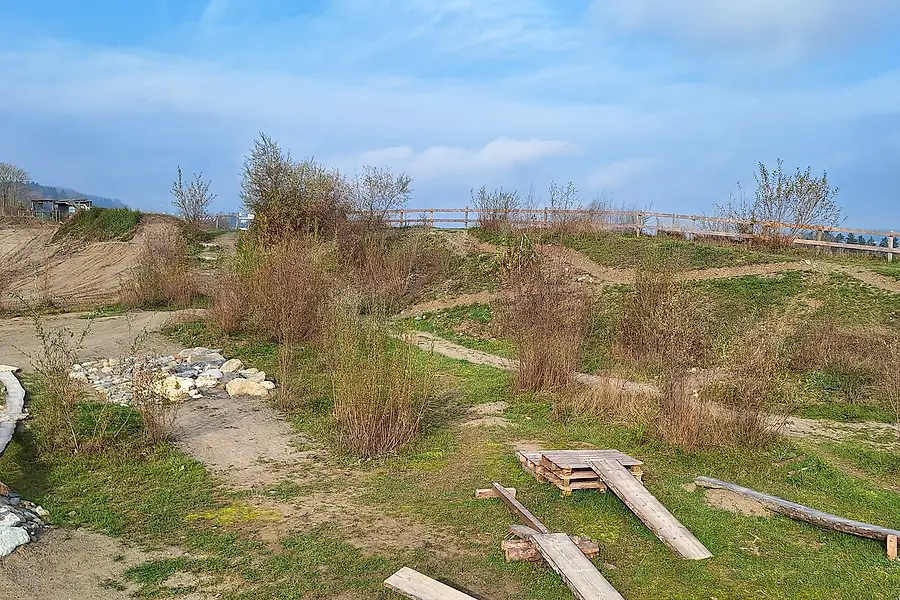 Der geformte Park mit Holzgeländer am Grat, Bretterrampe und Stammelement unter blauem Himmel.